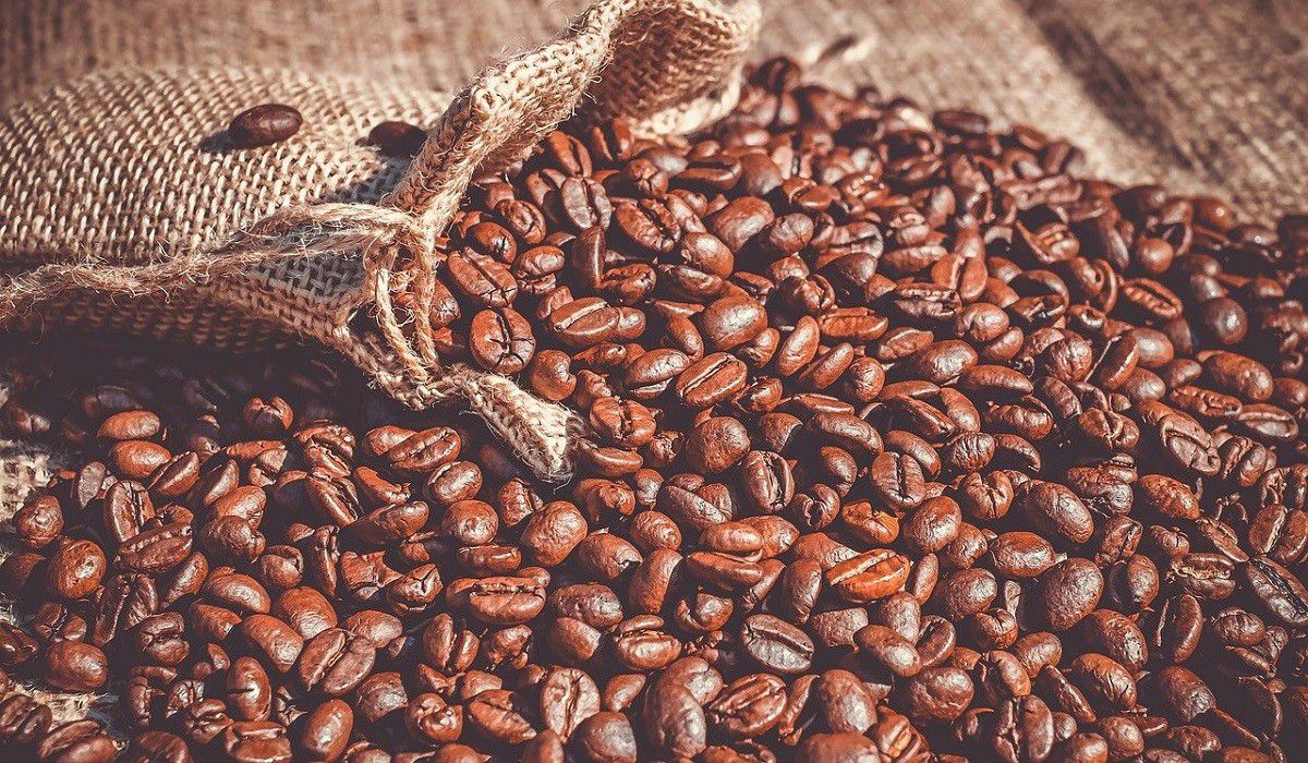 Por condiciones climáticas la producción de café disminuyó