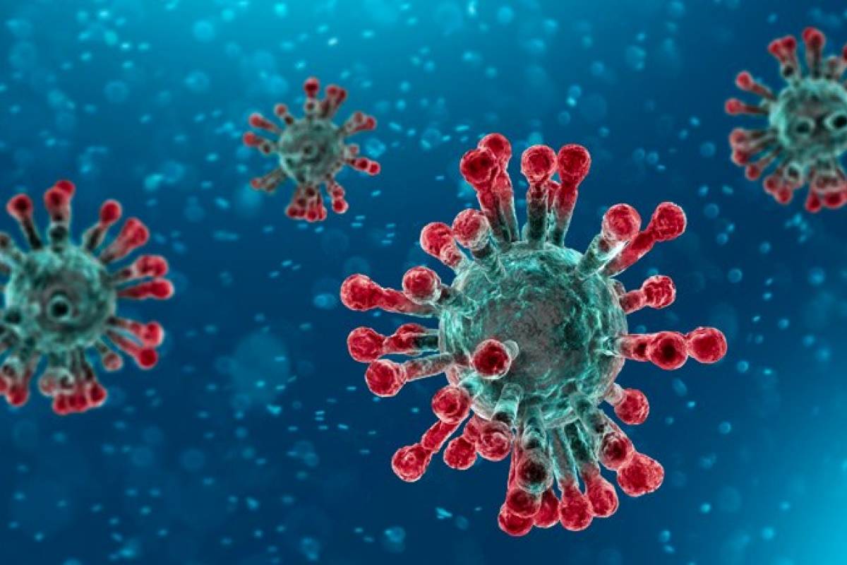 Los países que aún no han reportado contagios por coronavirus