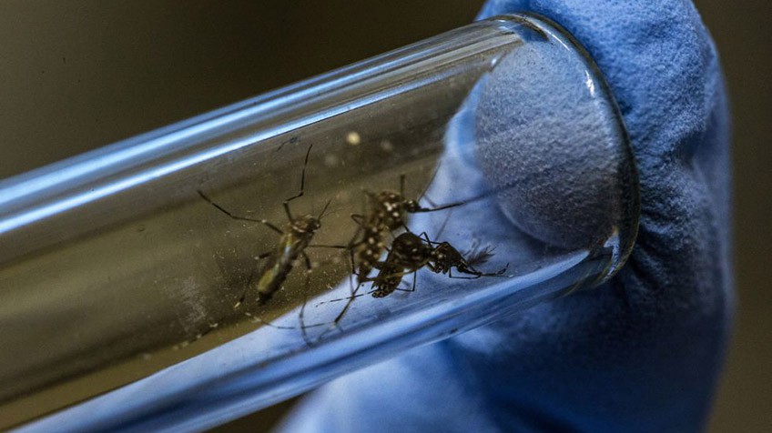 Alerta por 23 muertes a causa del dengue en el Valle del Cauca