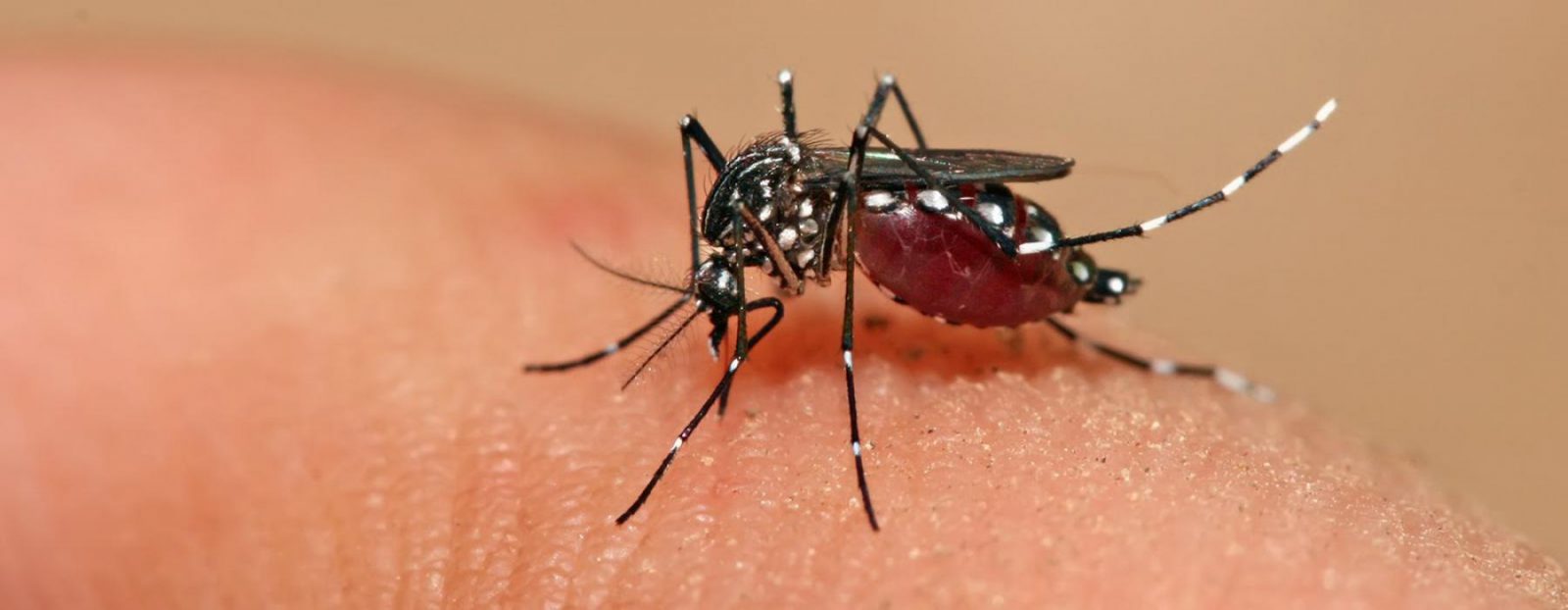 Alerta epidemiológica en Colombia por dengue