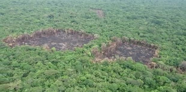 Gobierno retoma el control de más de mil hectáreas deforestadas en Tinigua