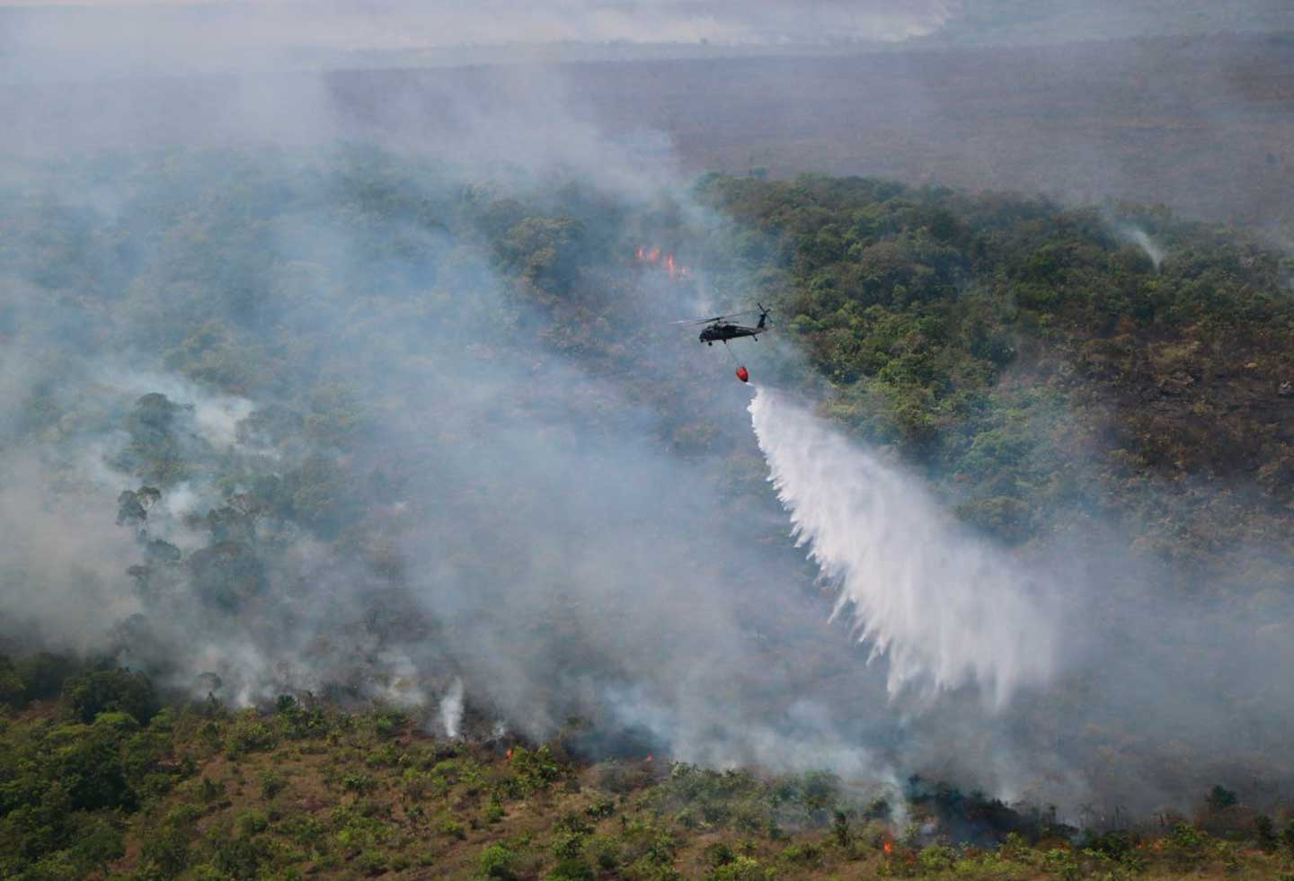 Tras seis días no cesa incendio forestal en Santa Marta