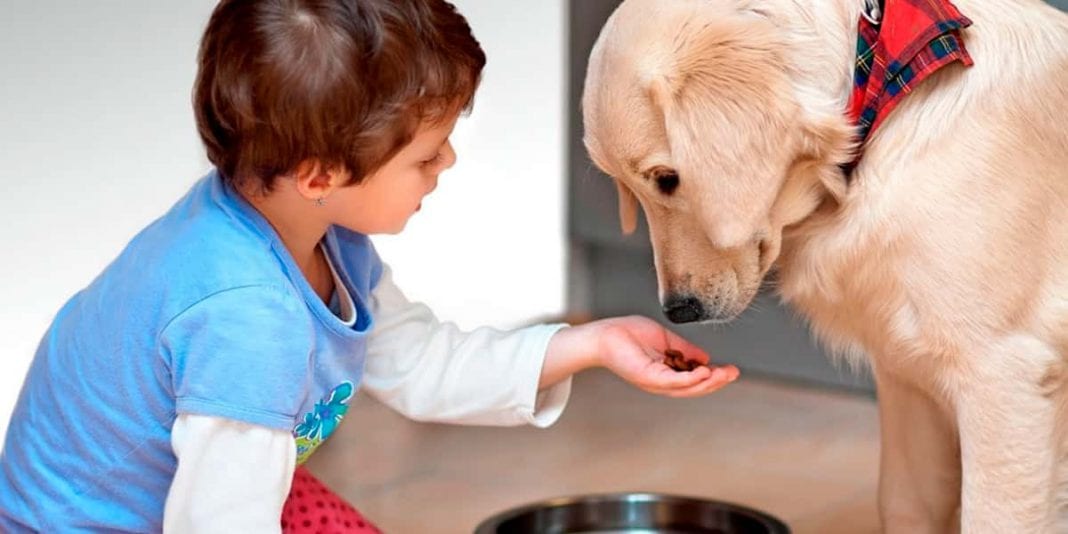 ¿Es beneficioso que los niños crezcan con mascotas?