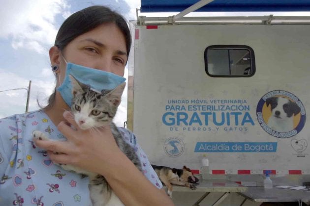 Se reactivaron esterilizaciones para animales vulnerables en Bogotá