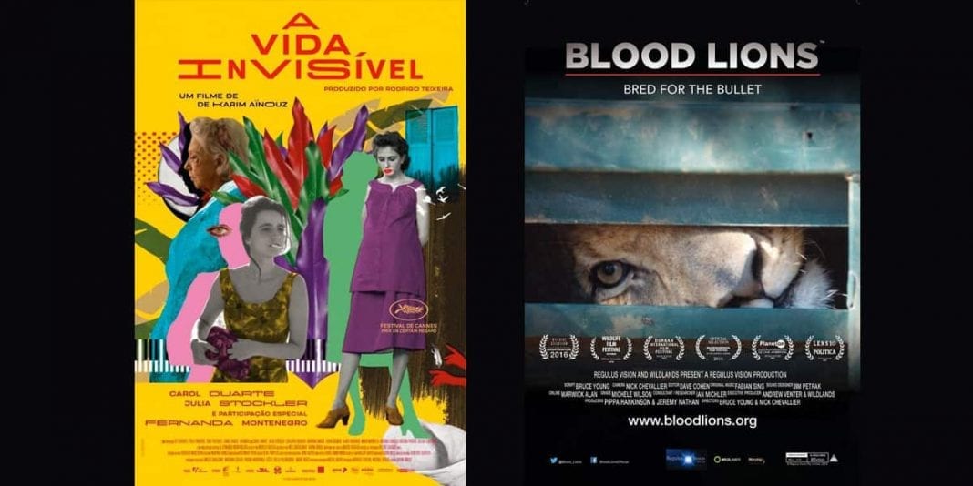 Conéctate con la programación de la Cinemateca de Bogotá esta semana