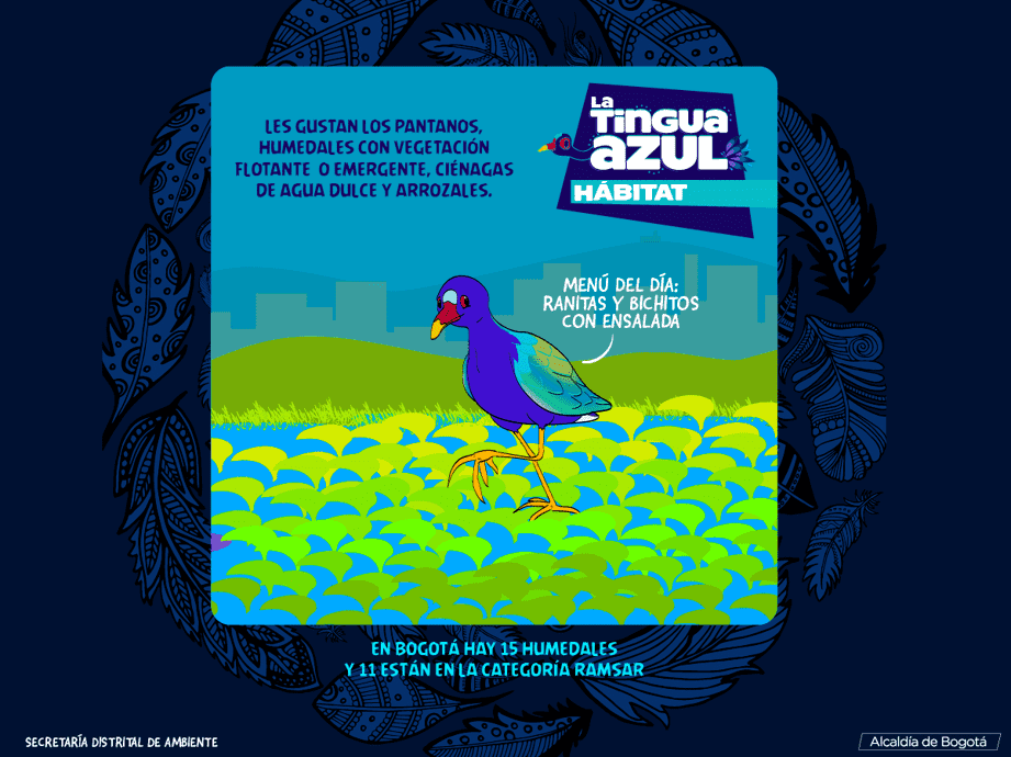 Bogotá crea campaña para proteger aves migratorias