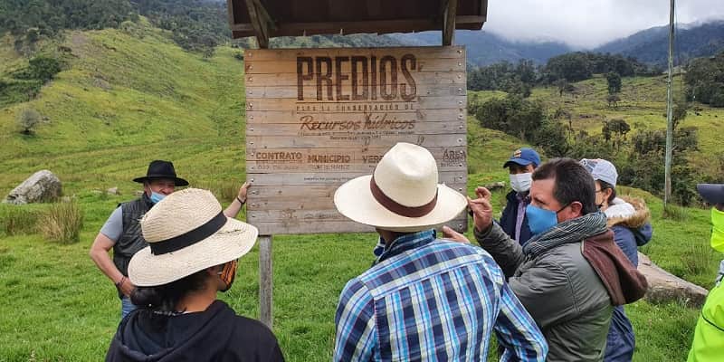 Cundinamarca le apuesta a conservar las abejas
