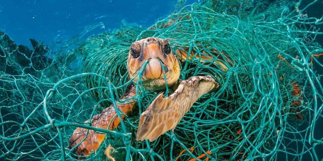 Redes de pesca abandonas el peor enemigo de la vida marina