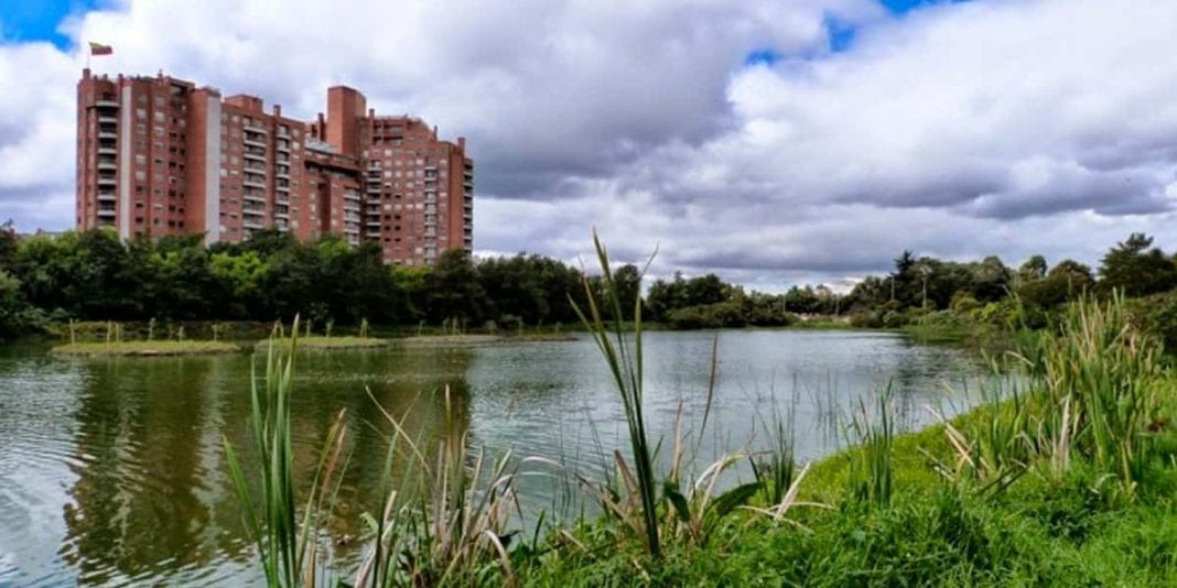 Conozca la estrategia para rescatar los humedales de Bogotá