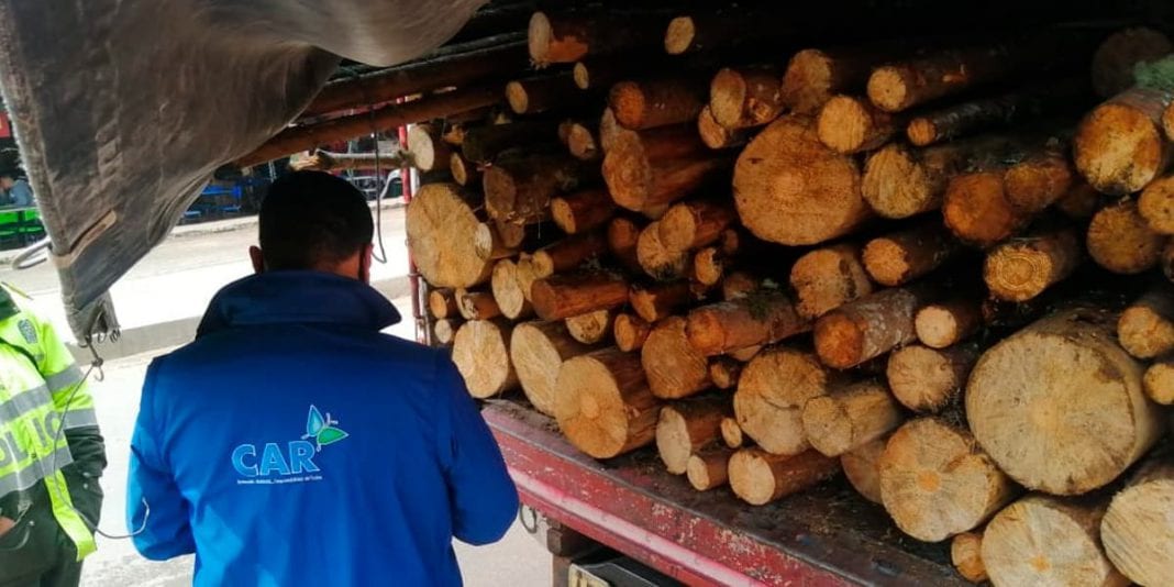 Decomisan cargamento de madera ilegal en la vía a La Calera