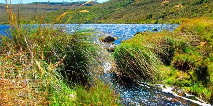 Avanza la creación de reserva natural entre Soacha, Pasca, Sibaté y Granada
