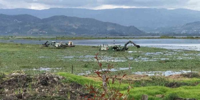 Se han recuperado más de 71 hectáreas de cuerpo de agua de la laguna de Fúquene