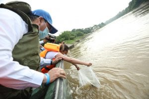 200 mil peces fueron liberados en el Río Magdalena