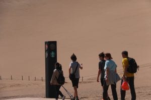 Crean en China un semáforo para camellos