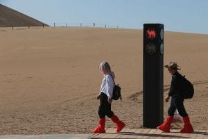 Crean en China un semáforo para camellos