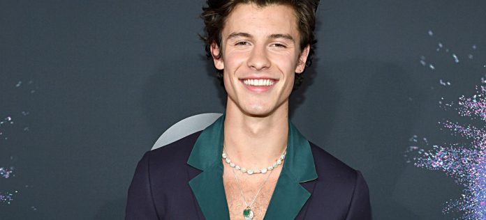 Shawn Mendes y Tainy lanzan 'Summer of love'