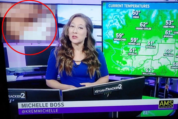 Video porno se coló en transmisión de noticiero en vivo