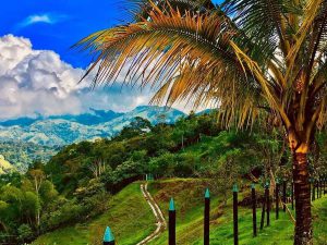 ¿Cómo va el sector turismo en Colombia?
