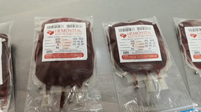 Por escasez de sangre se retrasan cirugías en Medellín