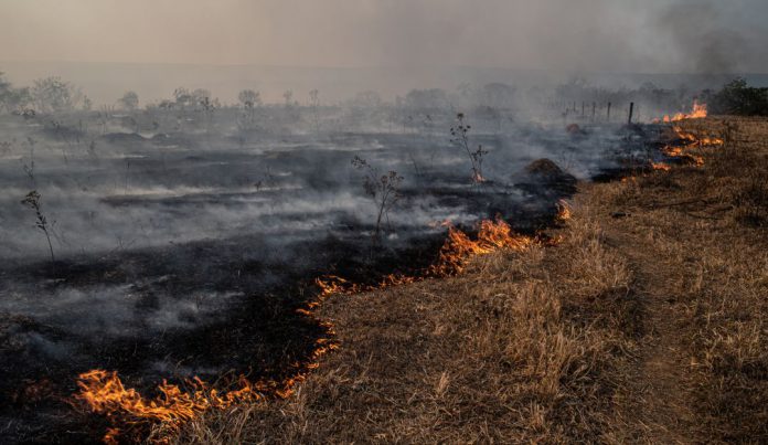 ¡Atención! Incendio forestal en Covarachía está siendo controlado por el Ejército