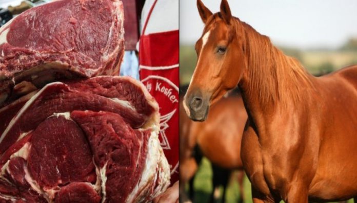 Sujetos se dedicaban a matar caballos para la venta de su carne