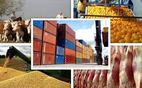 ¿Cómo van las exportaciones del agro en Colombia?