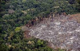 Indígenas se manifiestan: Piden protección a la Amazonía