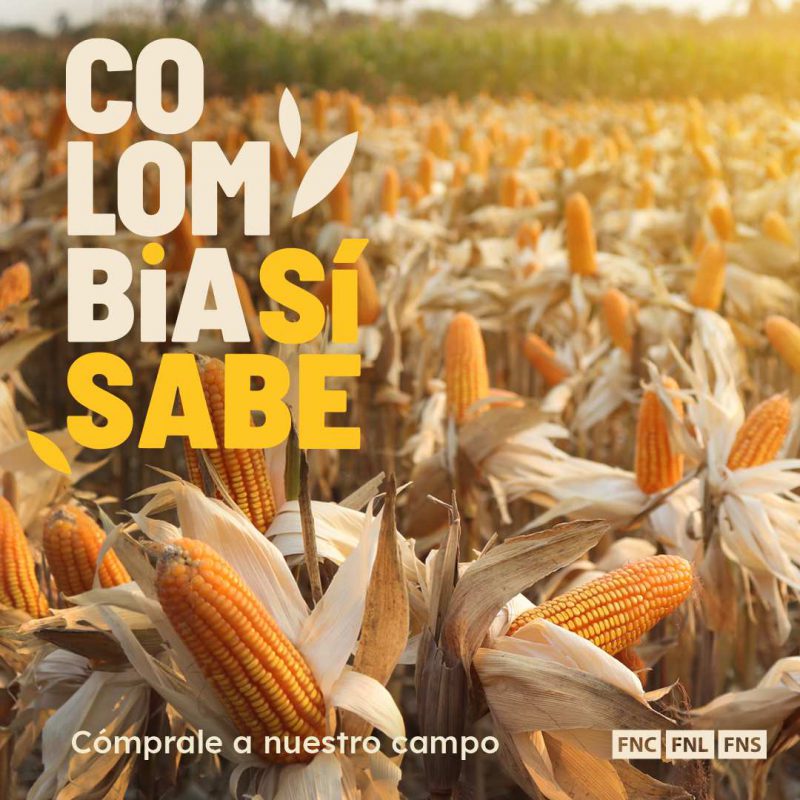 ‘Colombia Sí Sabe’, la nueva campaña de Fenalce que, busca fortalecer el campo colombiano