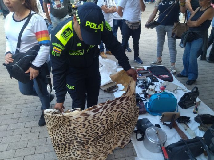 ¡Descarados! Traficantes estaban vendiendo piel de jaguar en Medellín