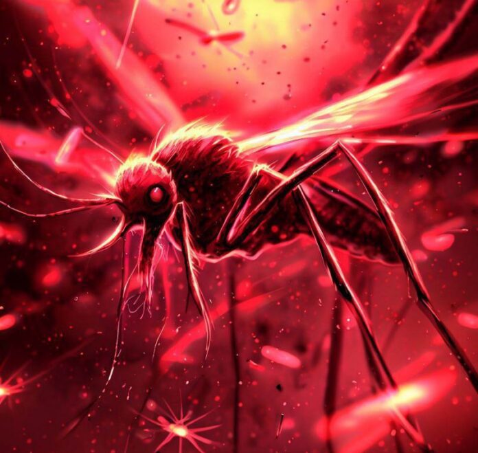 OMS: advierte que se deben redoblar esfuerzos frente al Paludismo