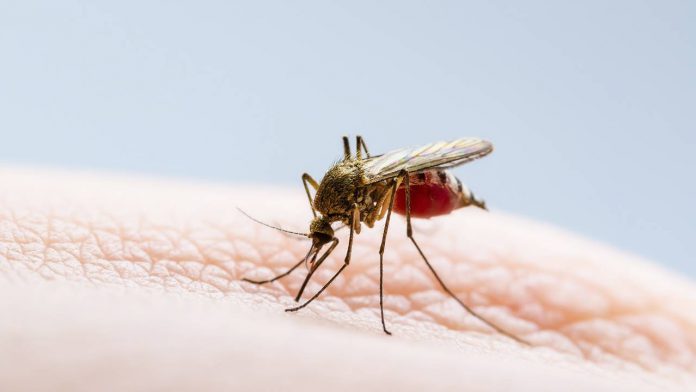 Autoridades de Girardot adelantan jornada de fumigación por dengue
