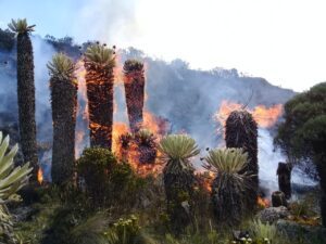 Continua fuerte incendio en Saturbán