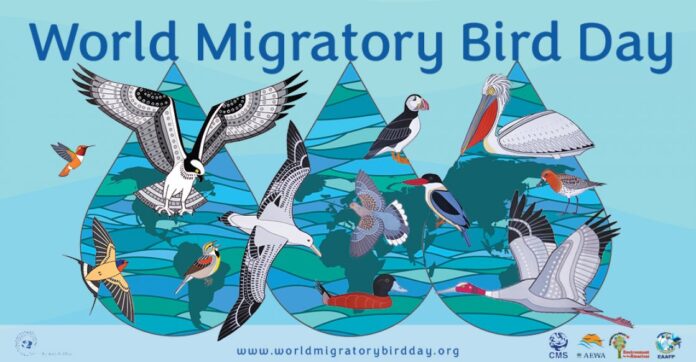 Impacto de la creciente crisis del agua en las aves migratorias