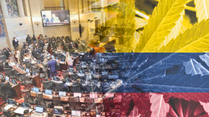 Marihuan en Colombia: al todo o nada este 20 de junio
