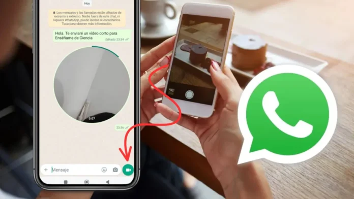 Nueva actualización de WhatsApp para mensajes de video ¿Cómo funciona?