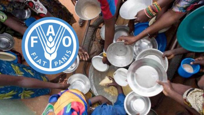 FAO: América Latina y el Caribe logró reducción de la inseguridad alimentaria