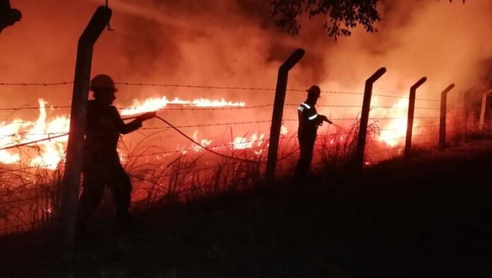 Incendio Forestal Arrasa el Sector de Chivo Negro: Cundinamarca