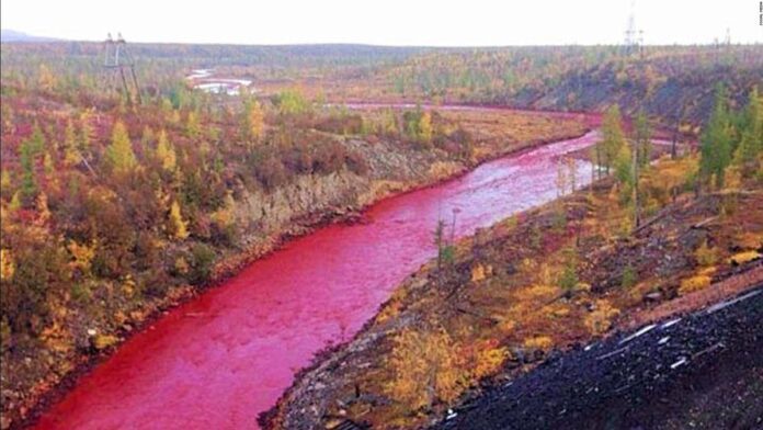 ¿Fenómeno Natural? El río Nilo en Egipto se tiño de rojo sangre