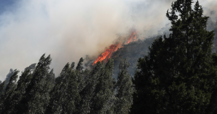 Emergencia ambiental en Nemocón: 200 hectáreas consumidas por el fuego
