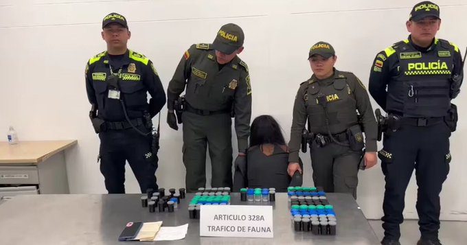 Mujer capturada en Aeropuerto El Dorado con 130 ranas venenosas