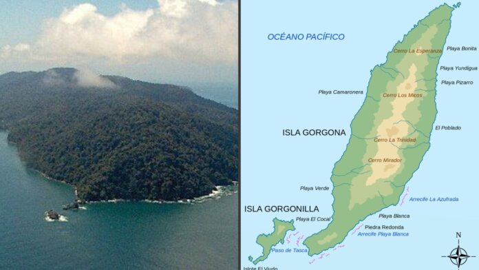 Parque Nacional Gorgona: Gobierno Nacional aprueba proyectos para la isla