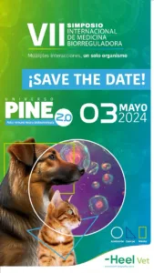 Estrés en las mascotas: este 3 de mayo se realizará el VII Simposio Internacional de Medicina Biorreguladora