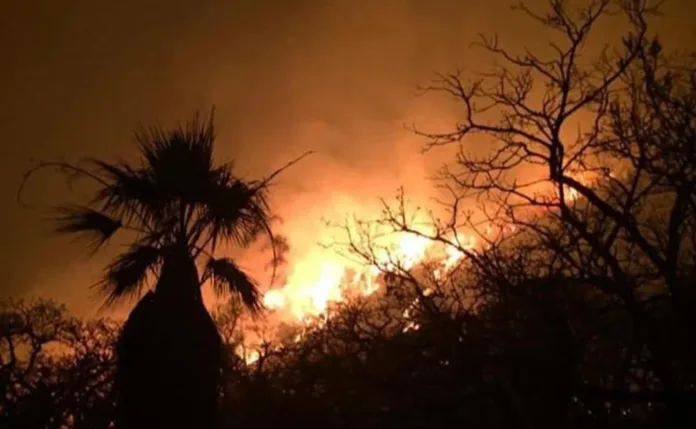 Alerta roja: Incendios forestales en tres municipios de Cundinamarca