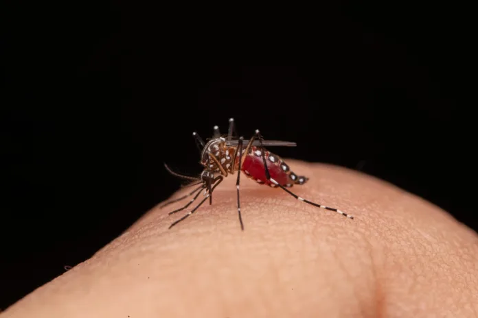 Cundinamarca: acciones preventivas por incremento de dengue a causa de 'El Niño'